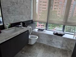 OUE Twin Peaks (D9), Condominium #552319531